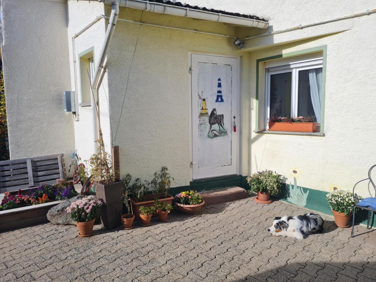 Ferienwohnung Im Wispertaunus Dickschied Eksteriør billede